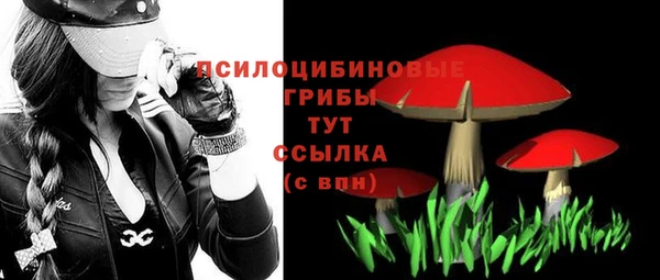наркотики Алексин