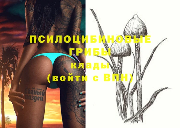 кокс Алзамай