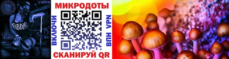 Псилоцибиновые грибы Psilocybe  Купить закладки  Луховицы 